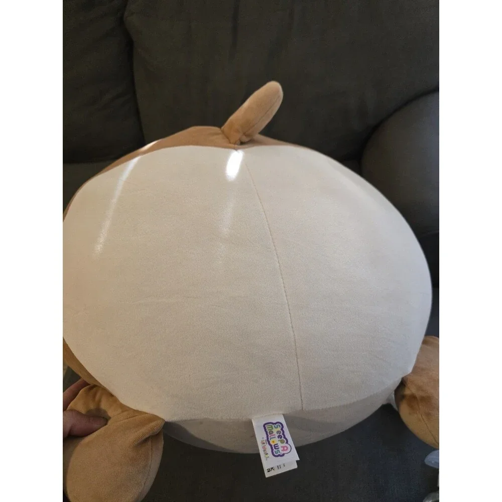 Large Big Jumbo Squishmallow Regina Sleep A Mallow Rare VHTF Corgi Dog Free Ship